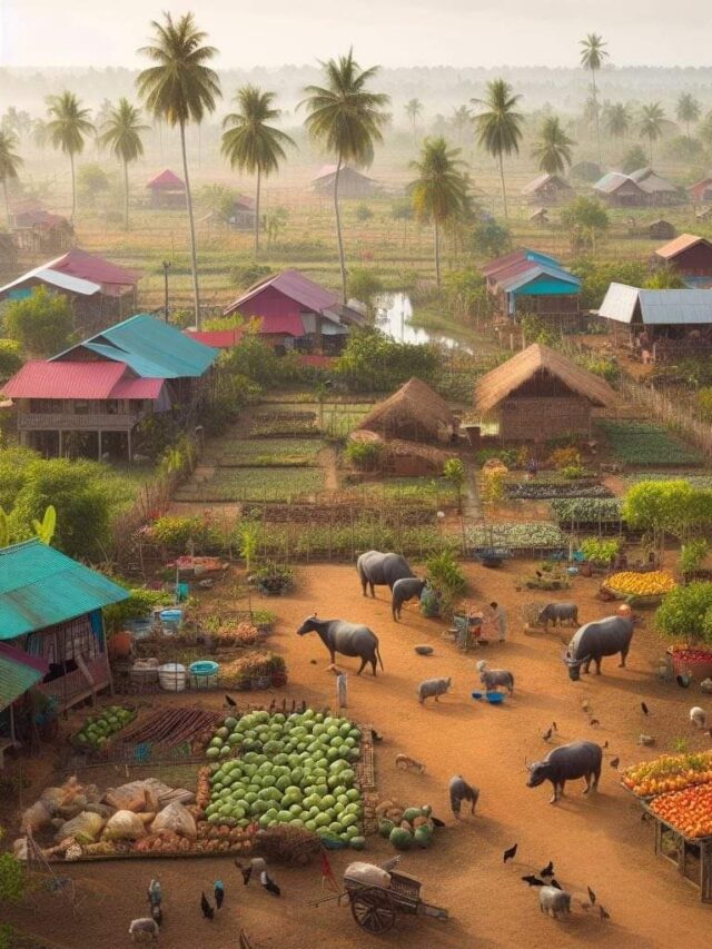 Beautiful Nature