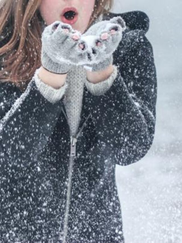 Winter Pictures