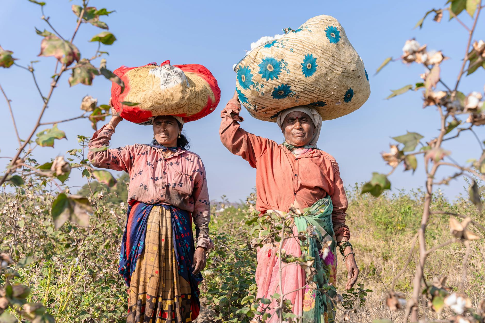 फार्मर आयडी योजना